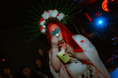WDkiki-260