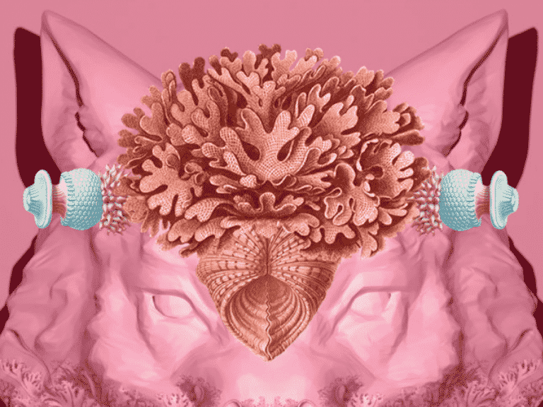 Lühifilmi festival PÖFF Shorts toob vaatajateni  queer-filmid