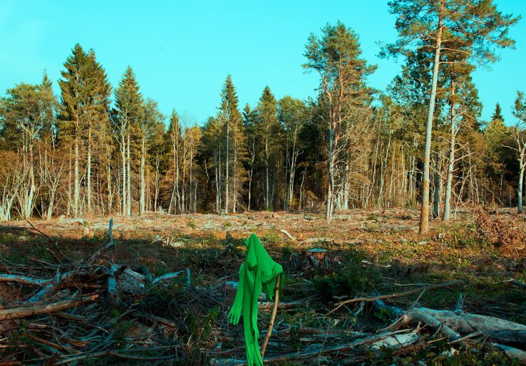 (e)spiritu-virtu – queer-lähenemisviis ökoloogilisele kriisile