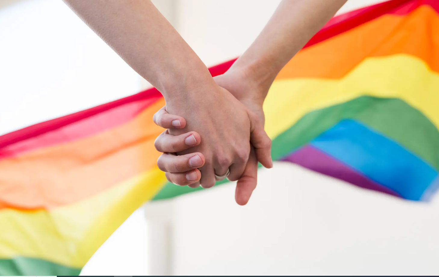 LGBT-inimesed käest kinni hoidmas
