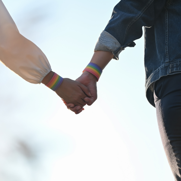 Riigikohus: pagulase samast soost elukaaslane tuleb lugeda tema pereliikmeks